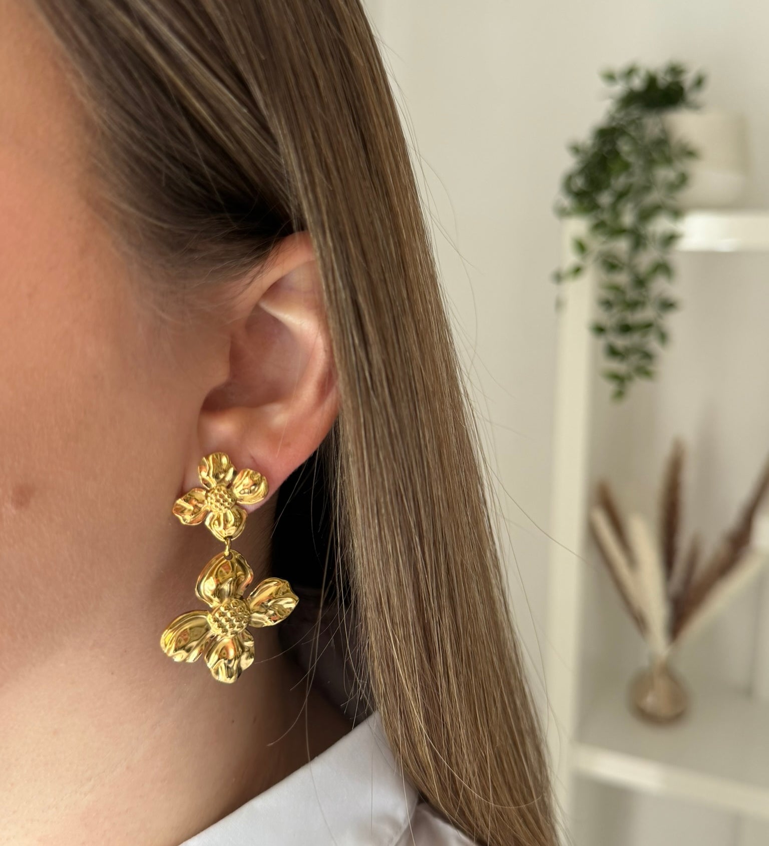 Image de diapositive