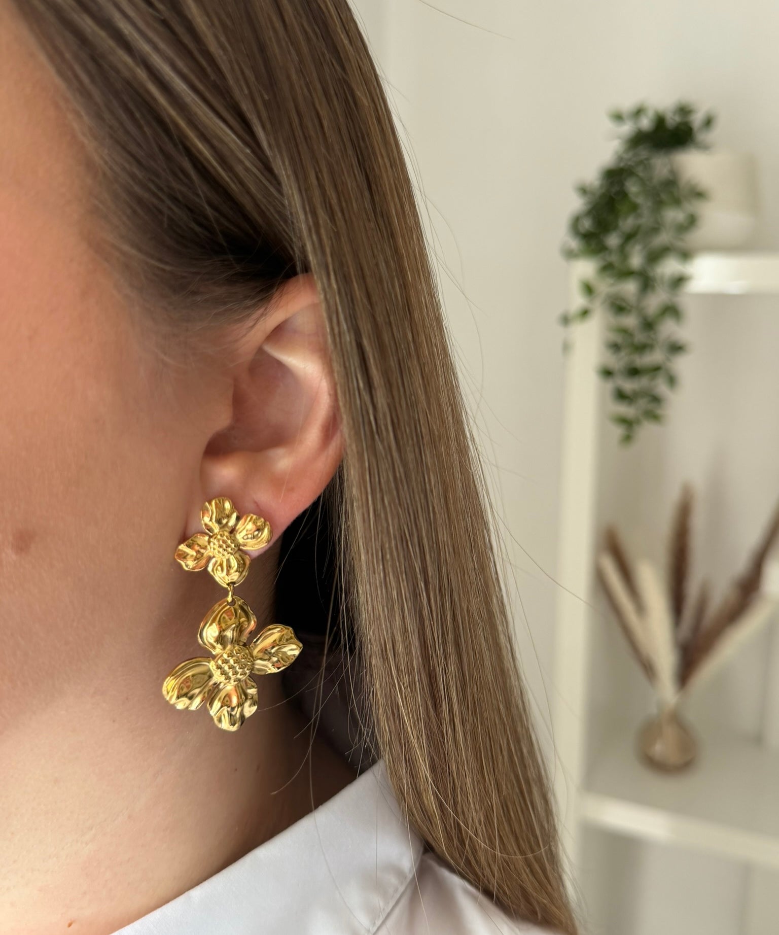 Image de diapositive