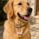 Médaille OSCAR - Médaille à graver pour chien