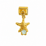 Étoile de mer