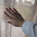 Image de diapositive