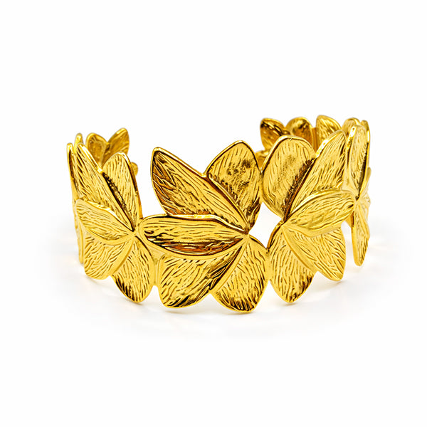 Image de diapositive