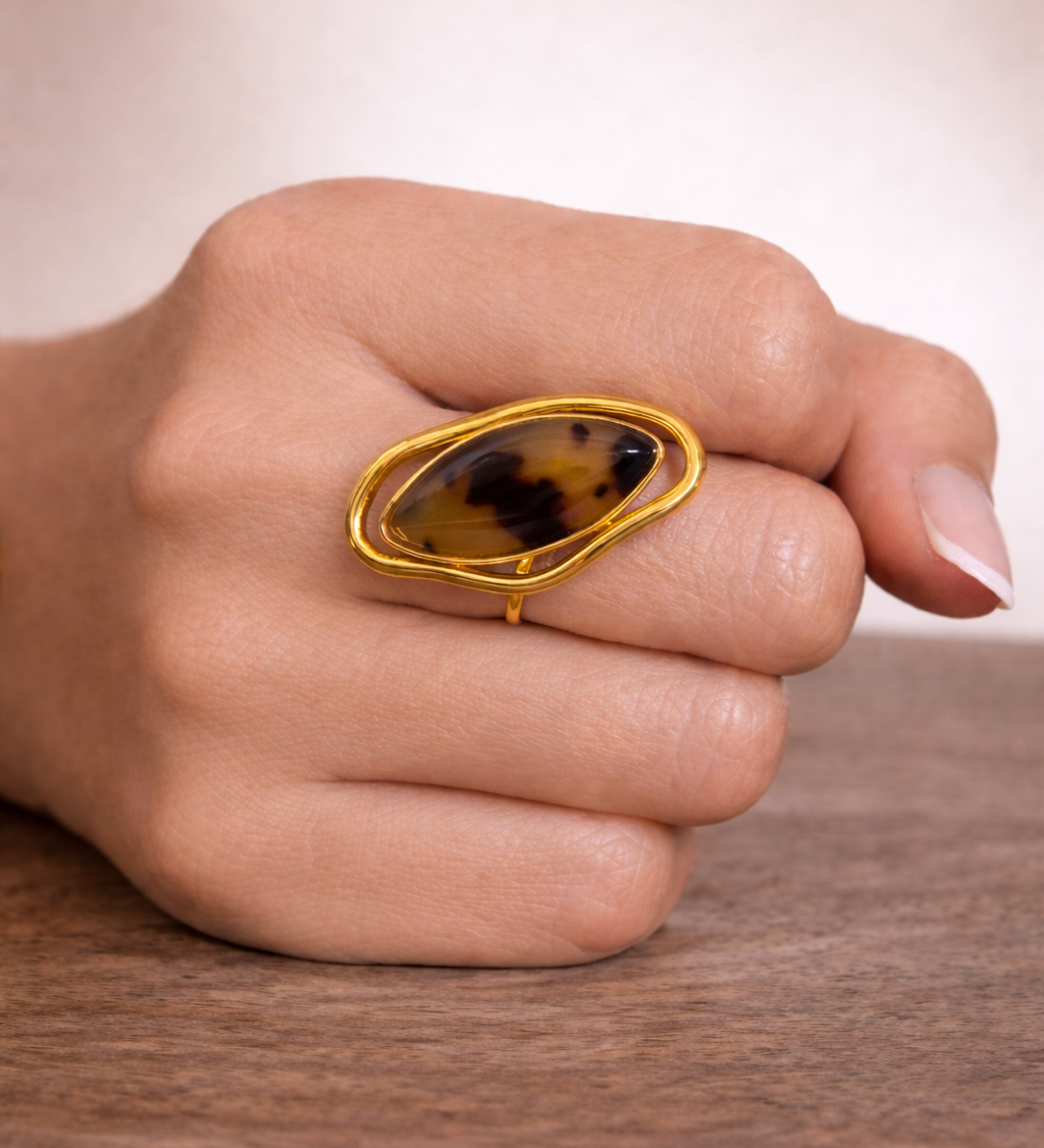 Image de diapositive